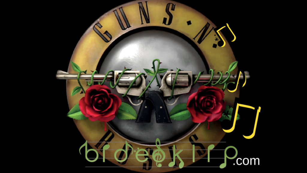 Guns and Roses