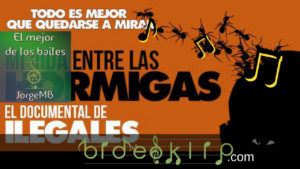 Mi vida entre las hormigas - Ilegales